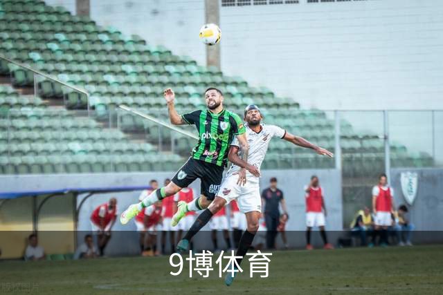 9博体育公司简介图片